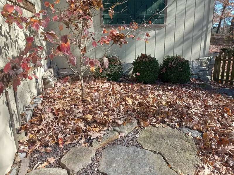 Before & After Gallery