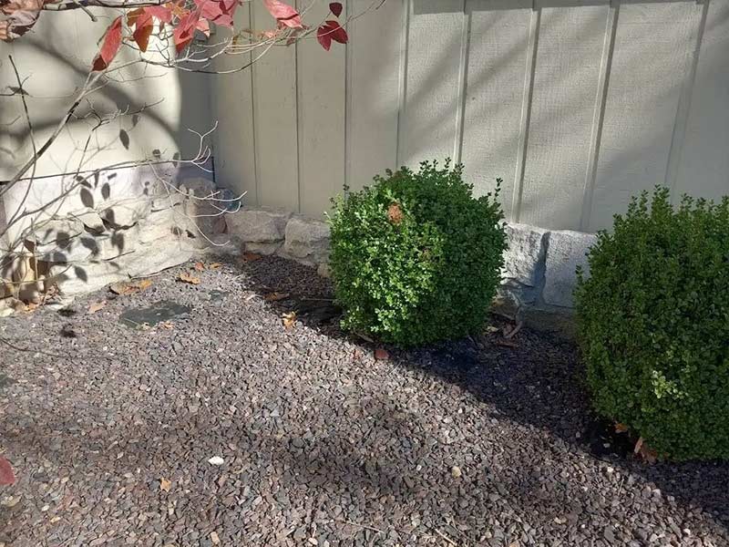 Before & After Gallery